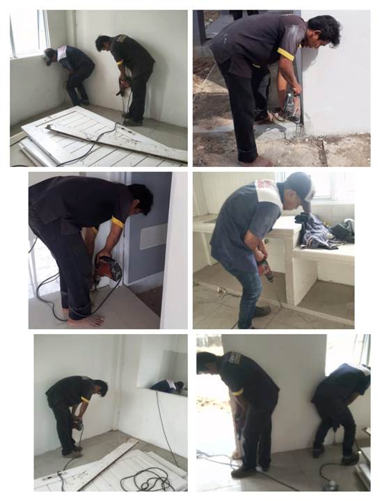 pest-control14