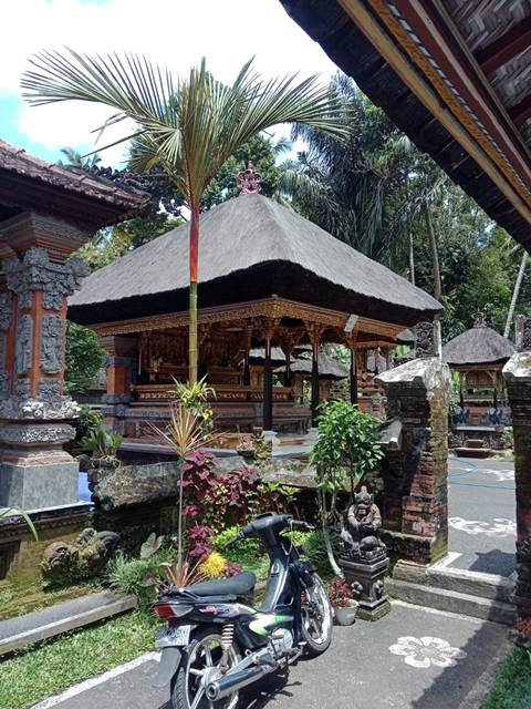 jual atap ijuk denpasar bali8