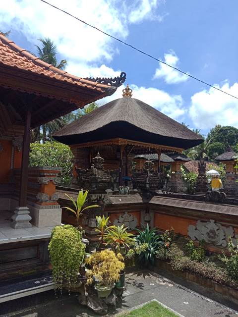 jual atap ijuk denpasar bali10