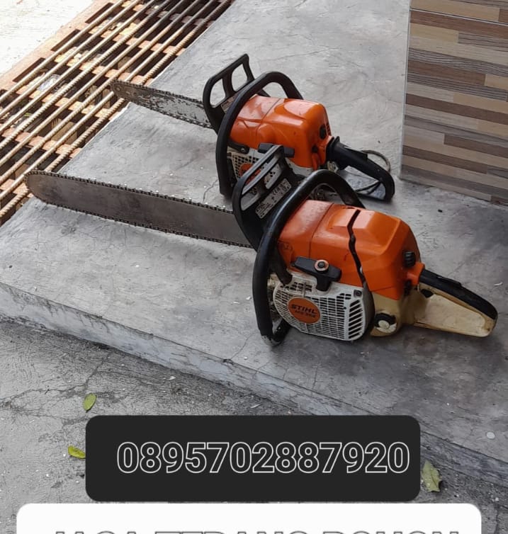 Jasa Tebang Pohon Semarang