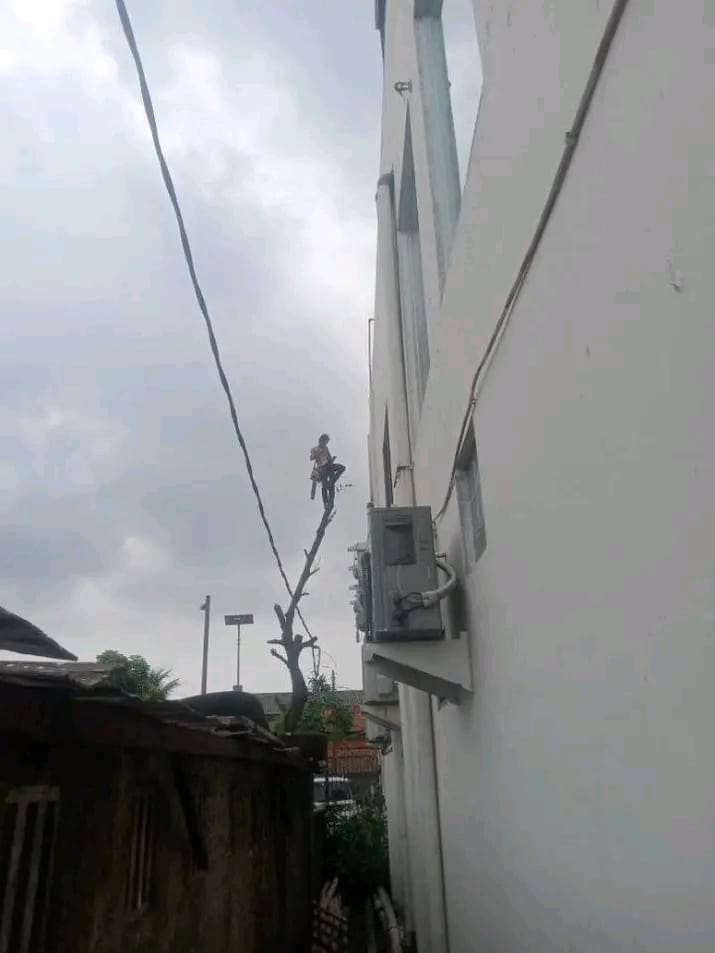 WhatsApp Image 2023-08-03 at 12.24.06 (2)