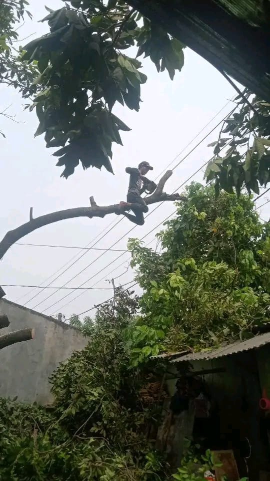 WhatsApp Image 2023-08-03 at 12.24.07
