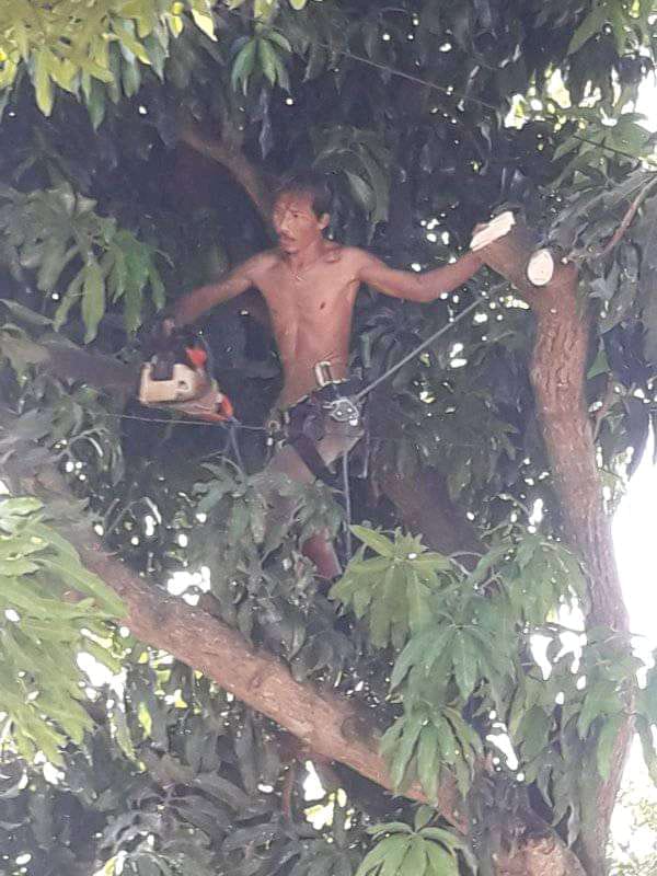 WhatsApp Image 2023-08-03 at 12.24.08 (1)