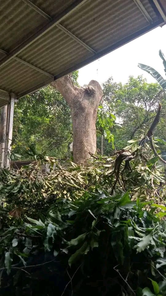 WhatsApp Image 2023-08-03 at 12.24.08
