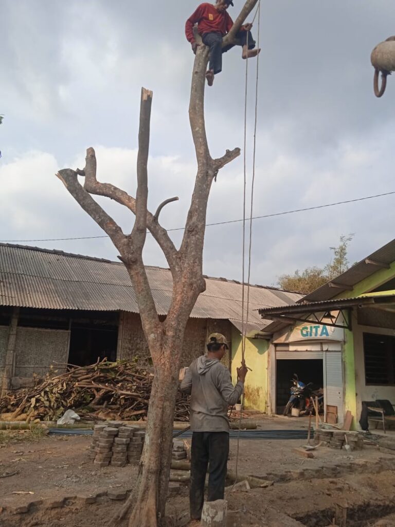 WhatsApp Image 2023-10-10 at 14.55.56 (1)