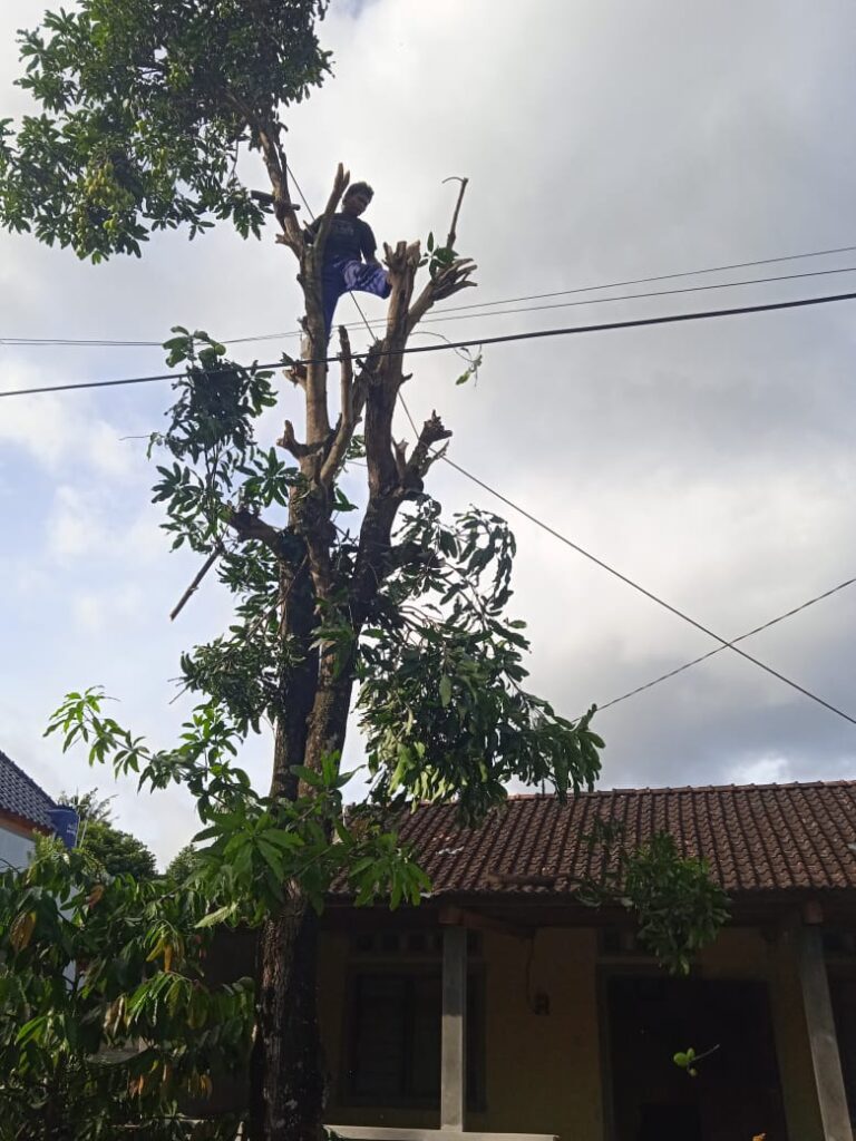 WhatsApp Image 2023-10-10 at 14.55.57