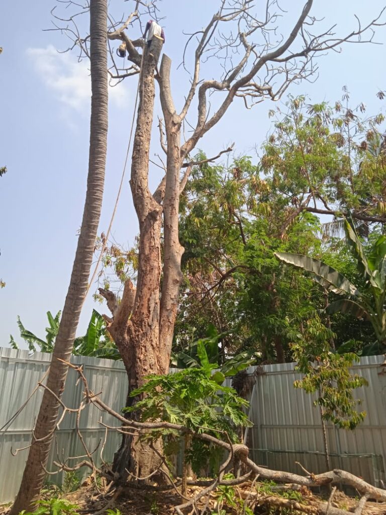 WhatsApp Image 2023-10-10 at 14.55.59