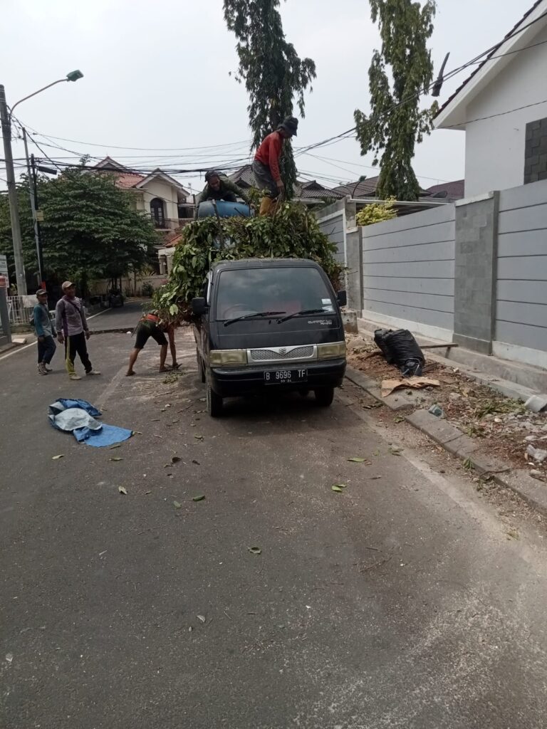 Jasa Tebang Pohon Jakarta Barat3