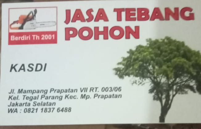 Jasa Tebang Pohon Mampang Jakarta Selatan