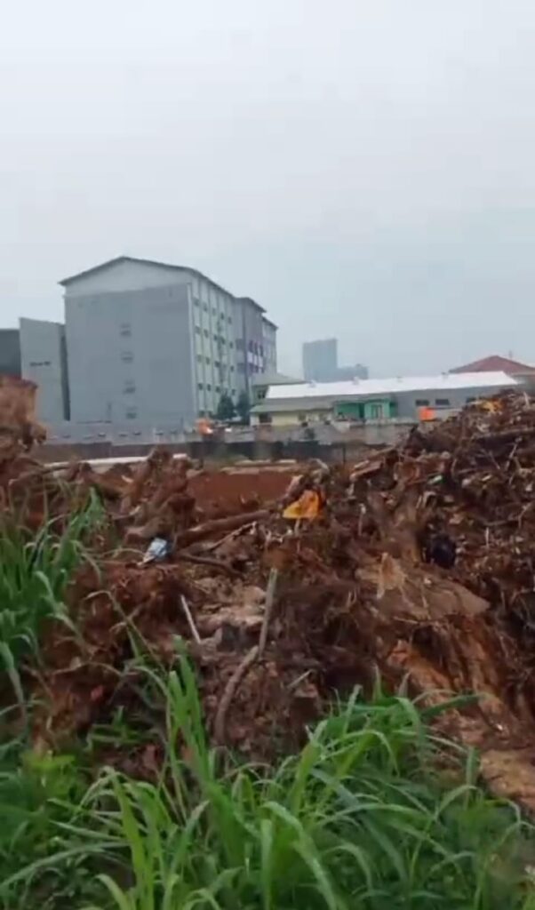 Jasa Tebang Pohon Mampang Jakarta Selatan2