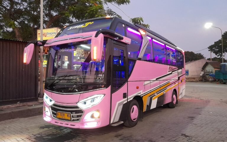 portofolio bus kami di palembang2