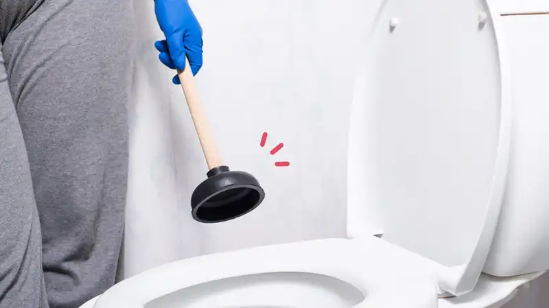 Apa Itu Alat Sedot WC Mampet