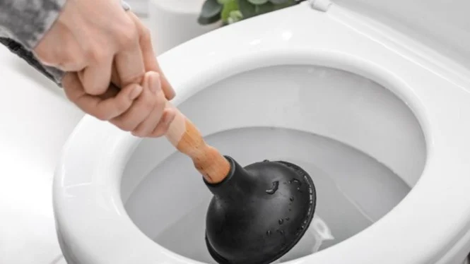 Apakah Bisa Sedot WC dari Kloset Duduk