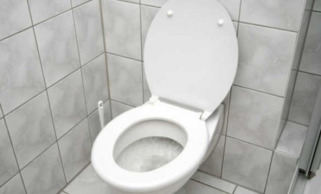 Sedot WC Apakah Bisa Dari Kloset