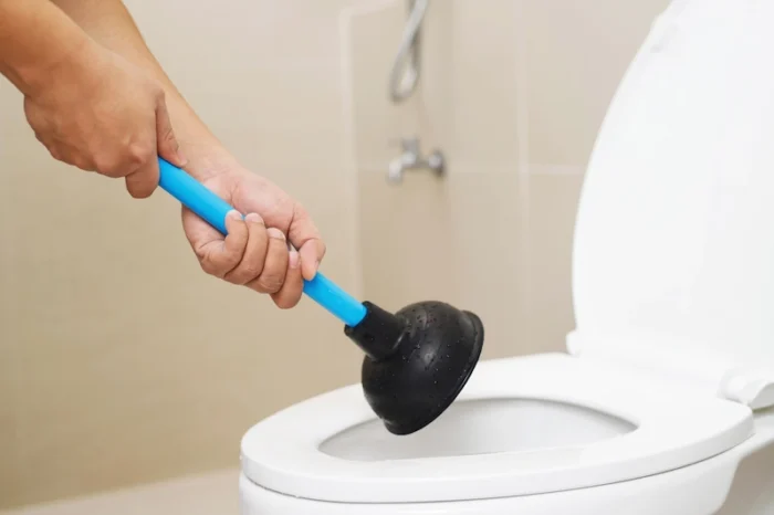 Sedot WC Manual